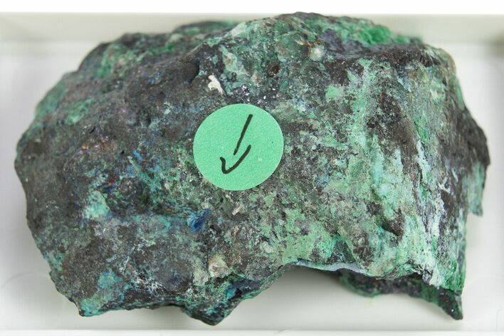 Rare Blue Buttgenbachite w/ Malachite & Cuprite - DR Congo #309644